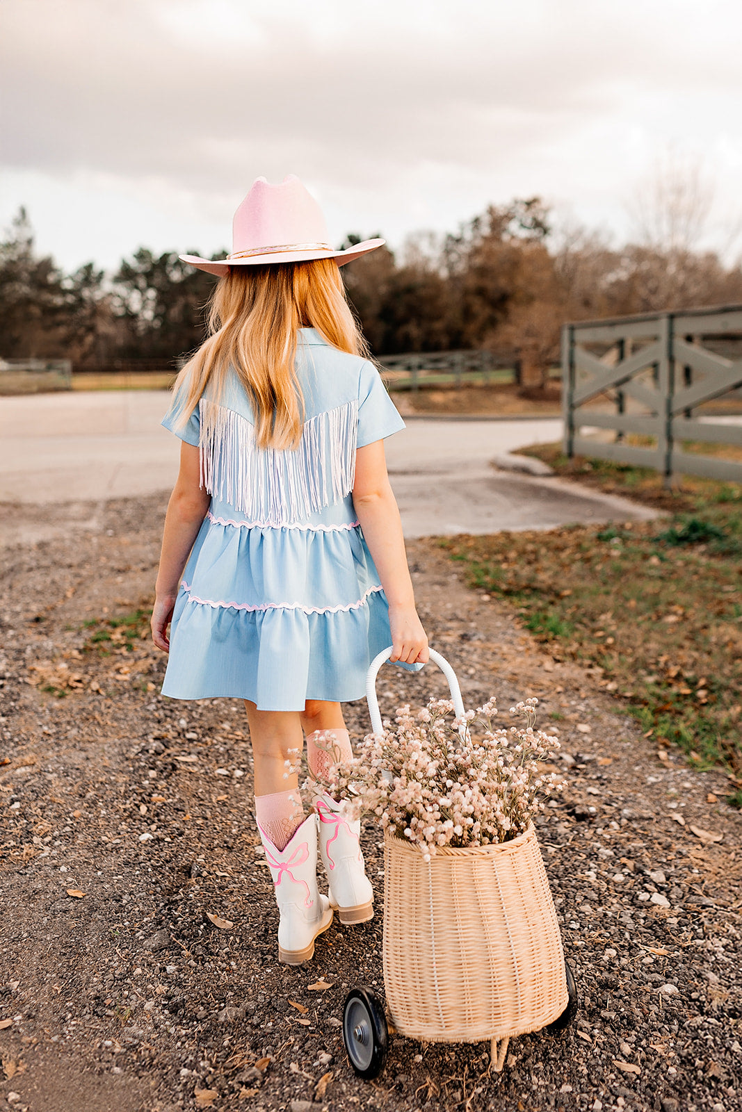 Boots, Bows, & Rodeo! Fringe Dress