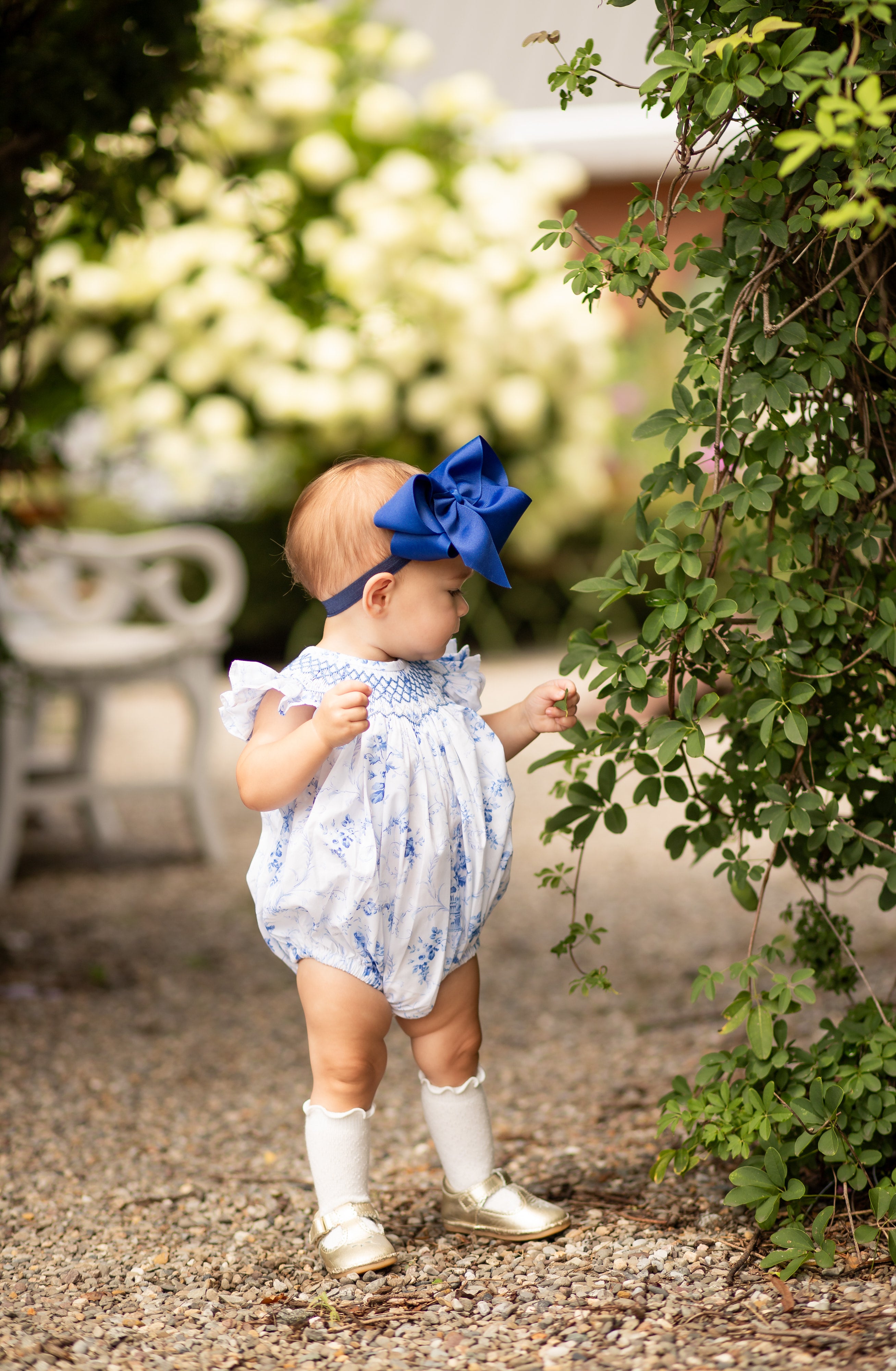 Daydream French Blue Toile Bubble