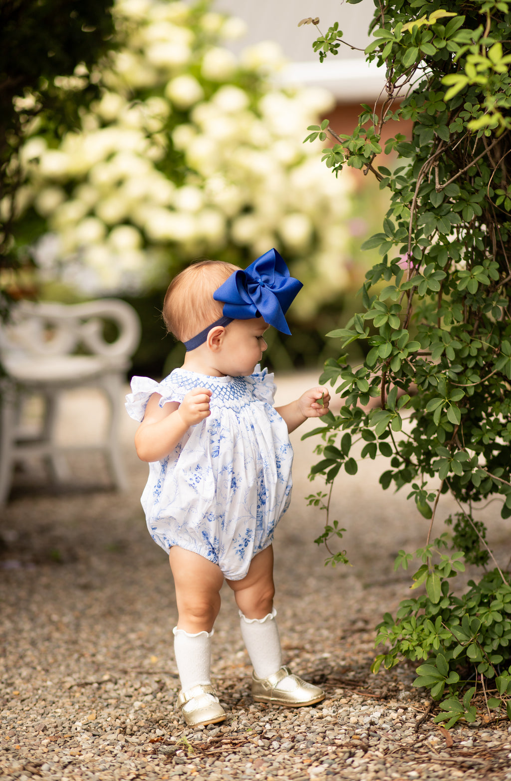 Daydream French Blue Toile Bubble