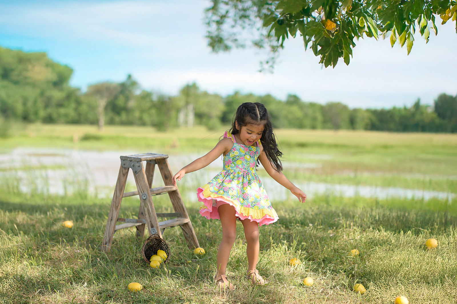 Citrus Splash Lemon Play Set *Ready to Ship*